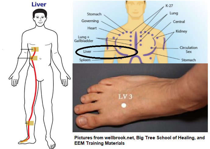 “The General”- Liver Meridian – It's All Energy Wellness